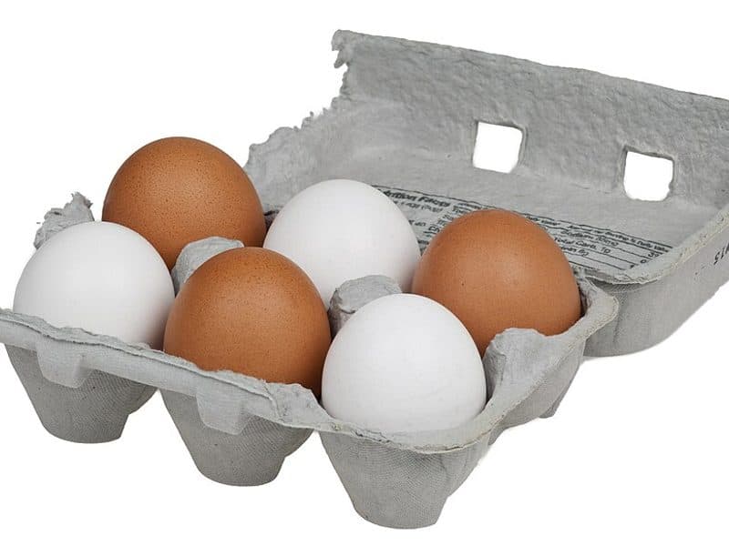 Large eggs